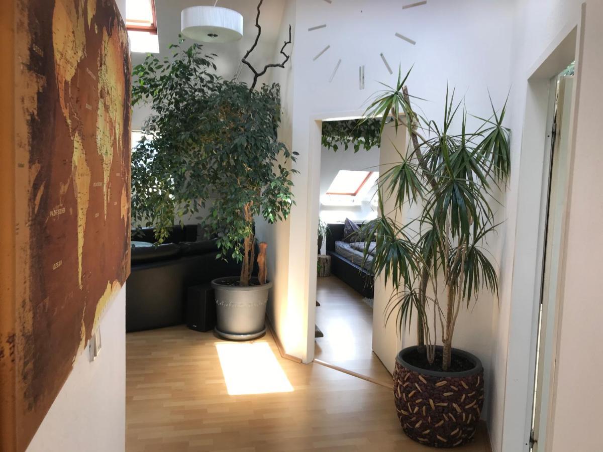 Stadtdschungel Fewo Mit Balkon Cottbus Exteriér fotografie
